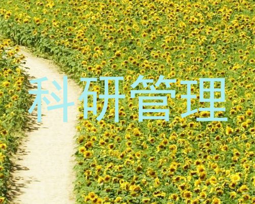 科研管理