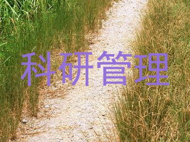 科研管理
