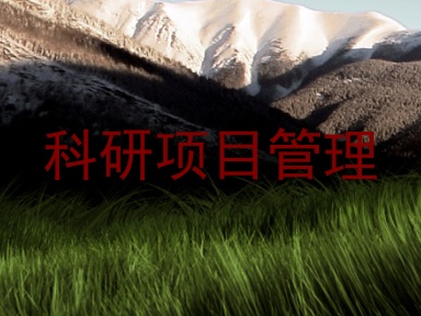 科研项目管理