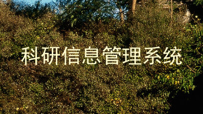 科研信息管理系统