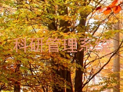 科研管理系统