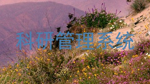 科研管理系统