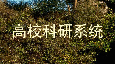 高校科研系统