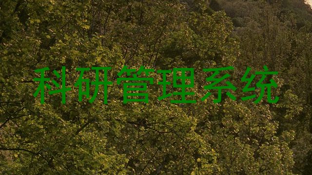 科研管理系统