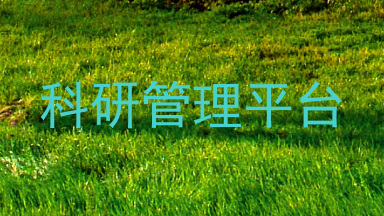科研管理平台