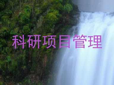 科研项目管理