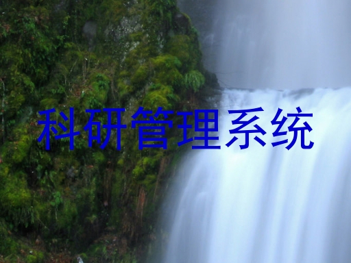 科研管理系统