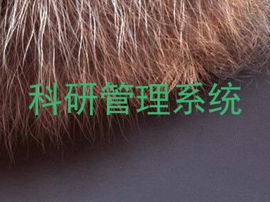 科研管理系统