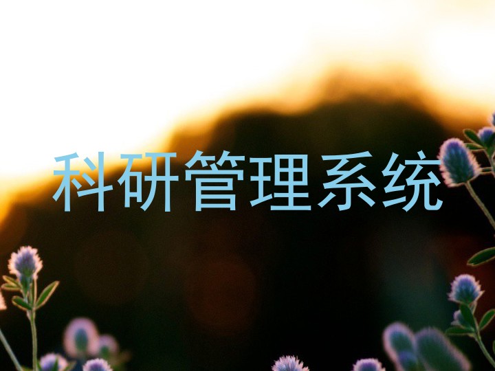 科研管理系统