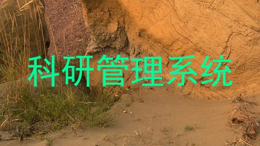 科研管理系统