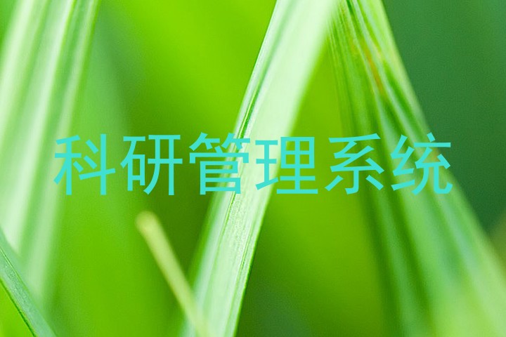科研管理系统