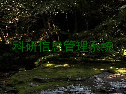 科研信息管理系统