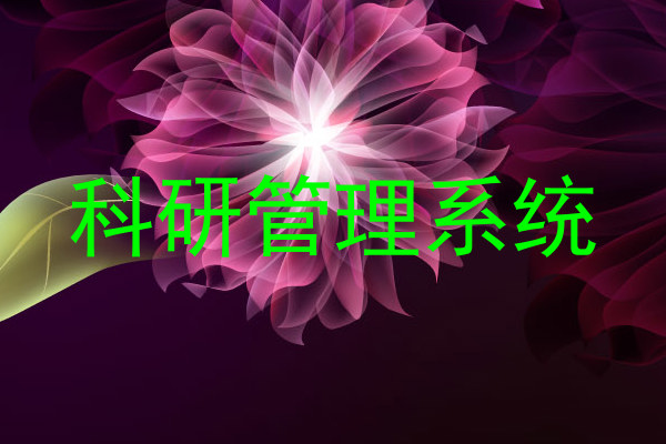 科研管理系统