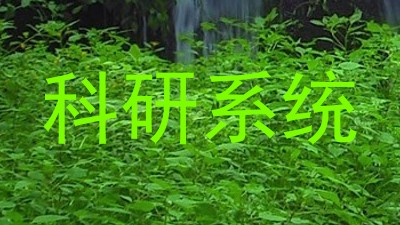 科研系统