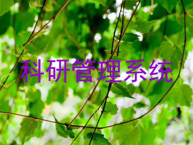 科研管理系统