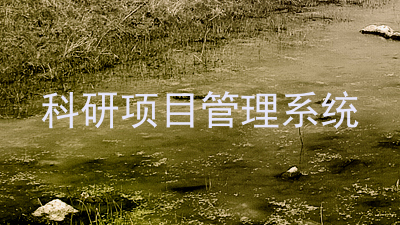 科研项目管理系统