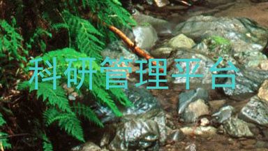 科研管理平台