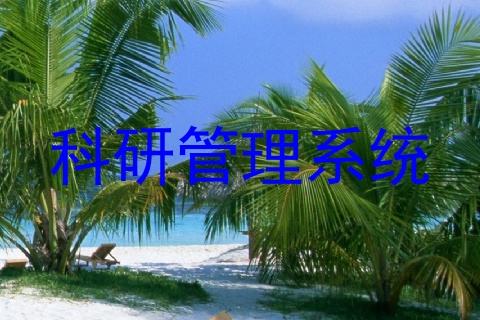 科研管理系统