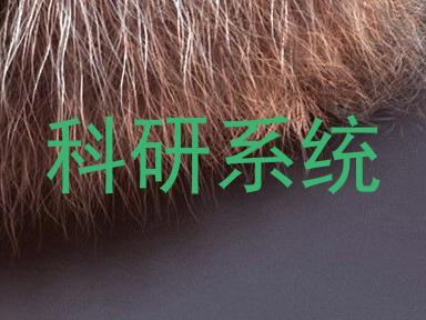 科研系统