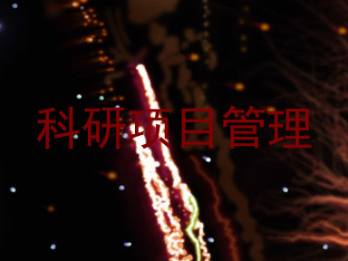 科研项目管理