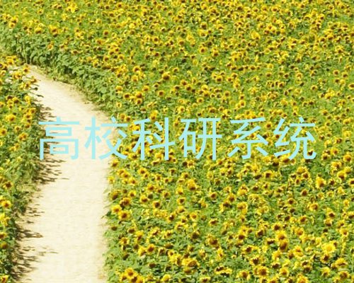 高校科研系统