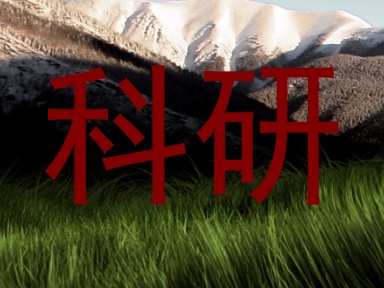科研