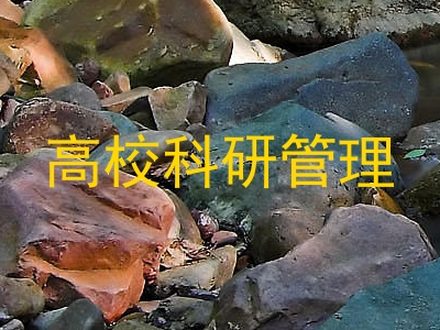 高校科研管理