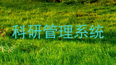 科研管理系统