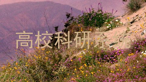 高校科研系统