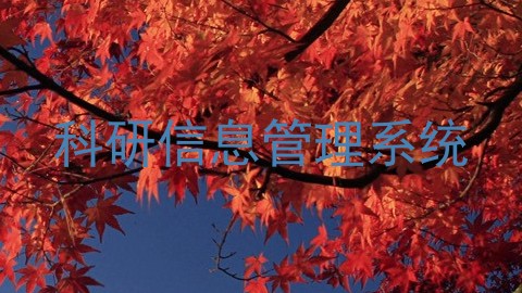 科研信息管理系统