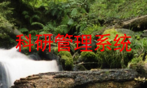 科研管理系统