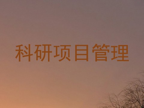 科研项目管理