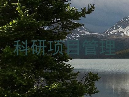 科研项目管理