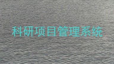 科研项目管理系统