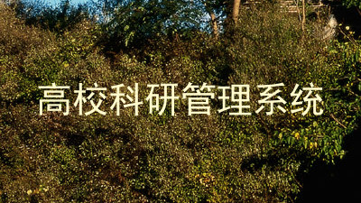 高校科研管理系统