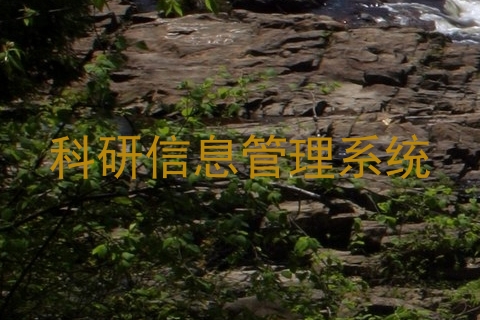 科研信息管理系统