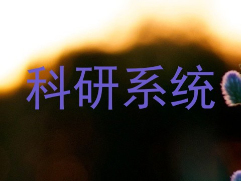 科研系统