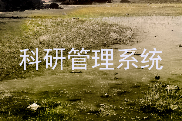 科研管理系统