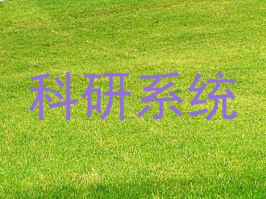 科研系统