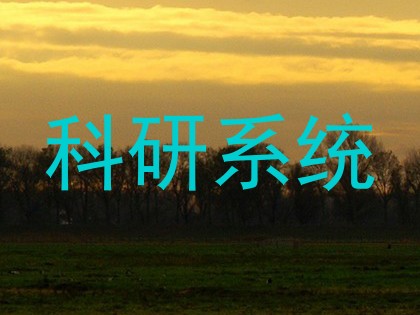 科研系统