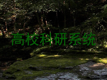 高校科研系统