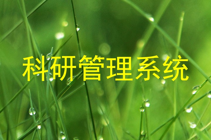 科研管理系统