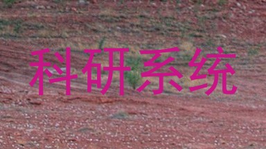 科研系统