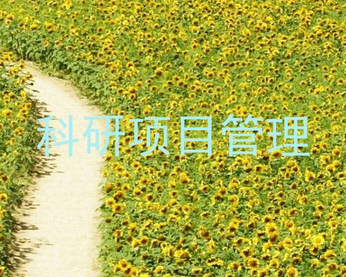 科研项目管理