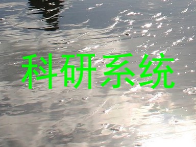 科研系统