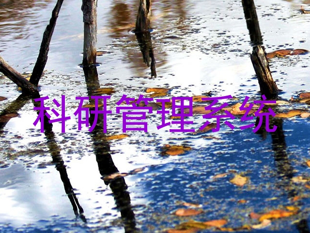 科研管理系统