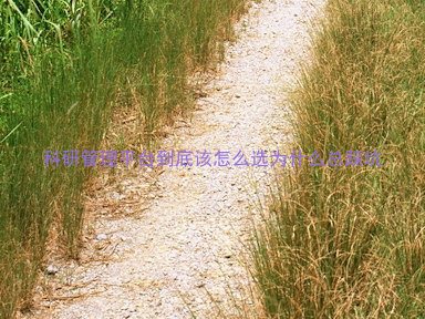 科研管理平台到底该怎么选为什么总踩坑