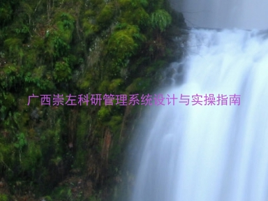 广西崇左科研管理系统设计与实操指南