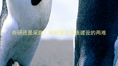 自研还是采购？科研管理系统建设的两难