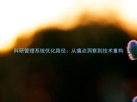 科研管理系统优化路径:从痛点洞察到技术重构